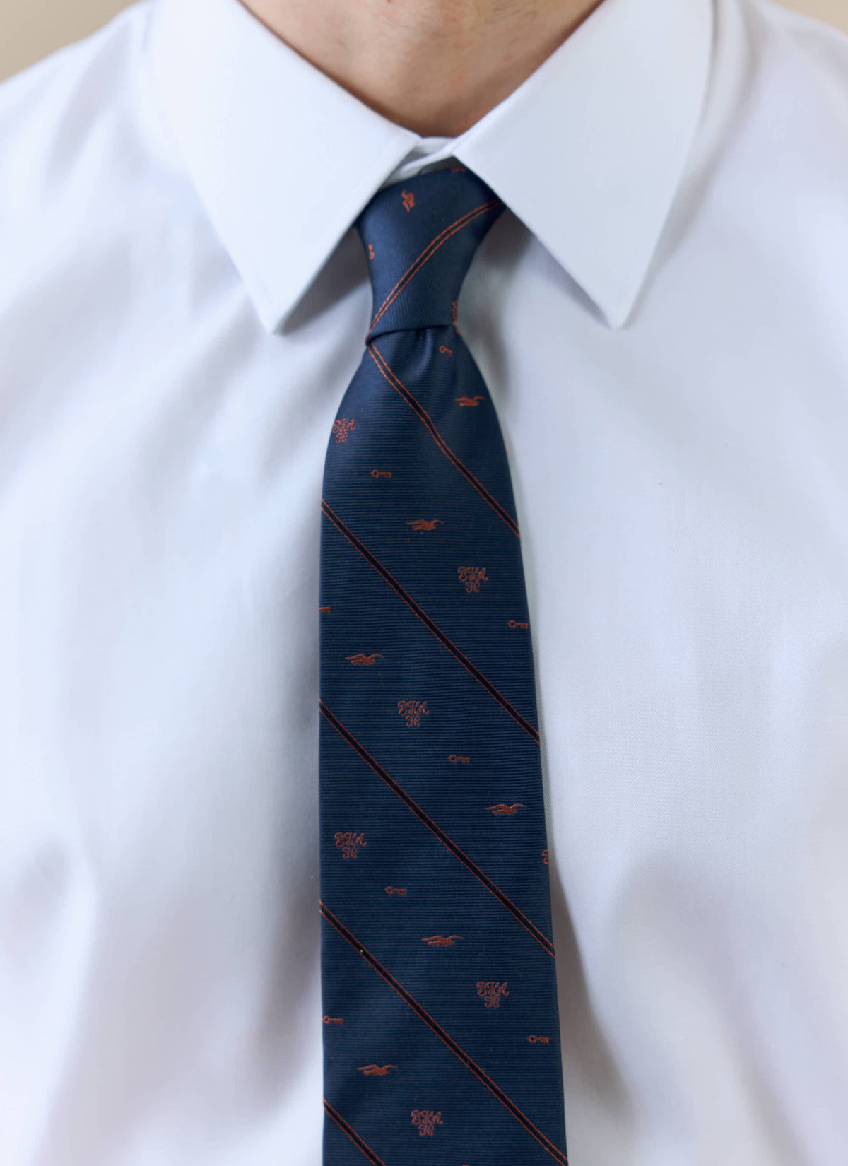 Men's Silk Tie - Jacquard Stripe - Percival x Brighton & Hove Albion F.C. - Navy | Percival Customer Favorite