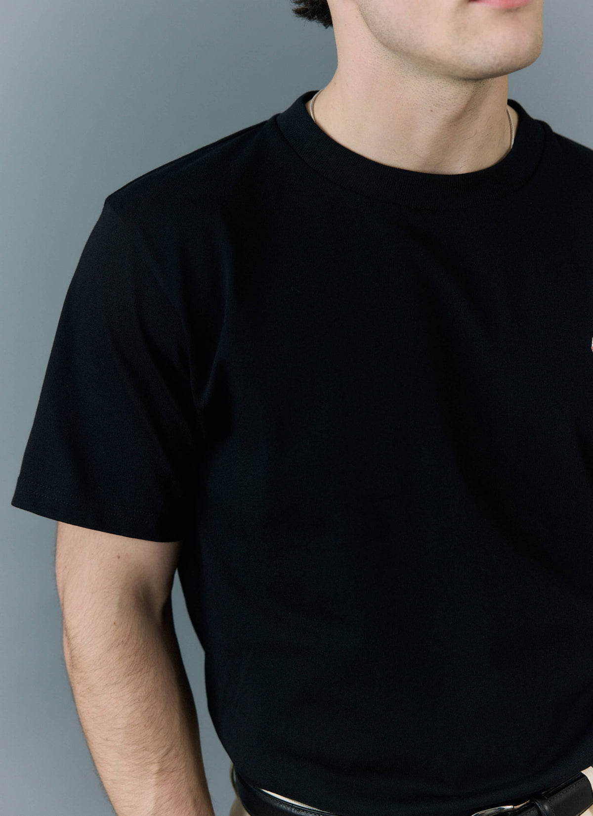 Men's Plain T Shirt - Regular Fit - Organic Cotton - Black | Percival Great Value
